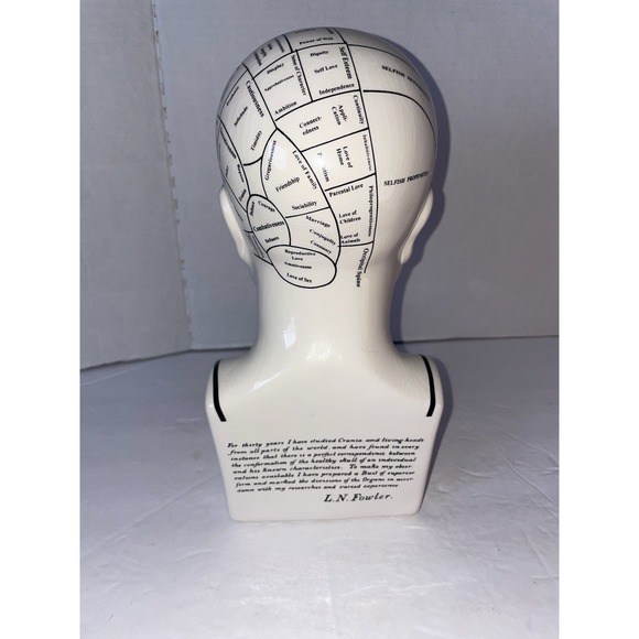 Phrenology Head Psychology L.N. Fowler, Royale Stratford Hand Made England - Picture 3 of 16